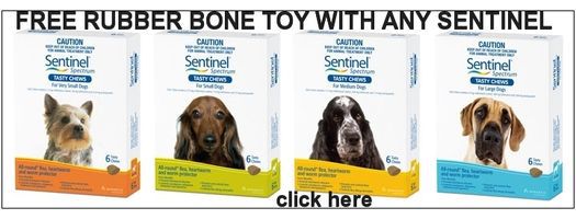 Sentinel rubber toy promo
