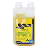 Recharge for Dogs/Greyhounds 1 litre