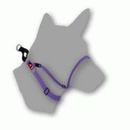 Black Dog Infin 8 Halter