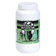 Boicare Biotin 1.8kg