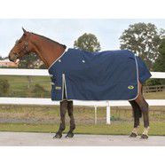 Clearance Rug - Coolabah  Rug 6'3
