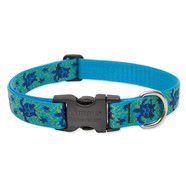 Lupine 16-28 Large Dog Collar Turtle Reef 1 inch thick, Adjustable 16-28 inches