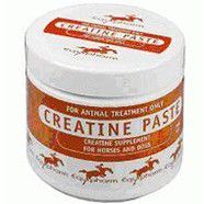 Creatine Paste 250ml