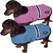 Dashie Coats -  Specially made for Dachshunds
