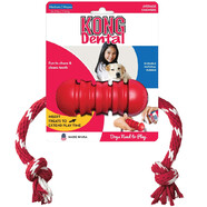 Dental Kong Medium