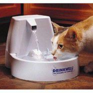 Drinkwell pet fountain for cats and small dogs