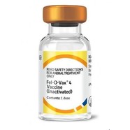 Felovax 4 Single Dose