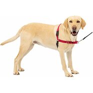Gentle Leader Harness With Front Leash Attachment Large