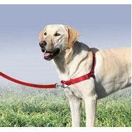 Gentle Leader Harness With Front Leash Attachment - Medium