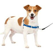 Gentle Leader Harness With Front Leash Attachment Small