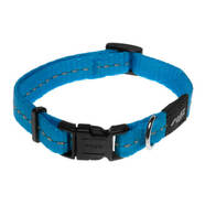 Rogz Classic Small Dog Collar 20-31cm [Colour: Turquoise]