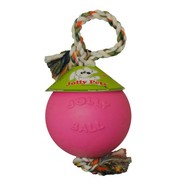 Jolly Ball Romp and Roll 8"  (20cm)