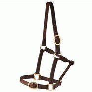 Leather Halter Single Ply