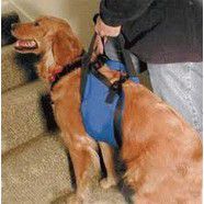 Lift n Aid Mobility Harness