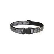 LUPINE 1' Collar 16-28 inch