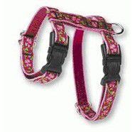 Lupine 1/2" H Style Harness 9-14inch