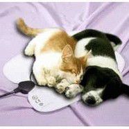 Pet Mat Medium