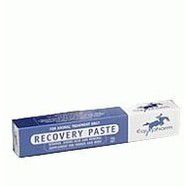 Recovery Paste 30ml