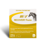 Recovery Paste 250ml