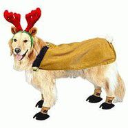 Reindeer Suit w Booties and Antlers Large