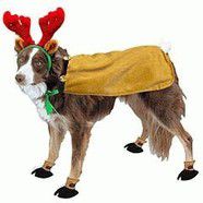 Reindeer Suit w Booties and Antlers medium