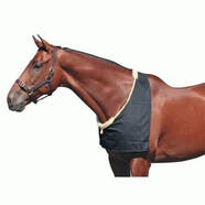 Economy Rug Bib