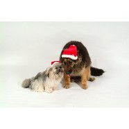 Santa Hat Medium