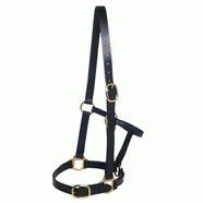Sidney Hamilton Premium Leather Halter