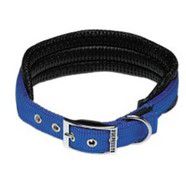 Soft Padded Nylon Collar 1"