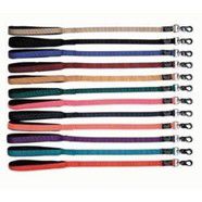 Soft Padded Nylon Leash 1"