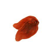 Veggie Ears Singles