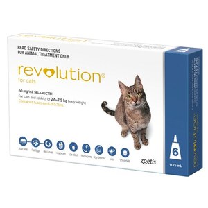 Revolution Blue 6 pack for Cats