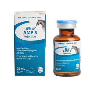 Amp 5 Injection 20ml 