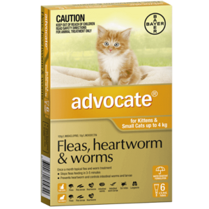 Advocate Cat Orange 6pk for small cats under 4kg 