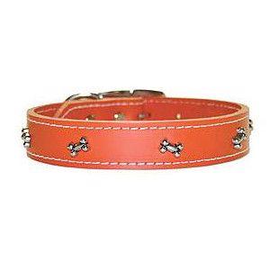 Bone Ornament Leather Collar 1"