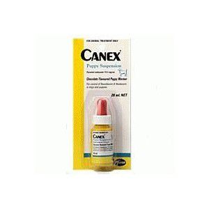 Canex Puppy Suspension