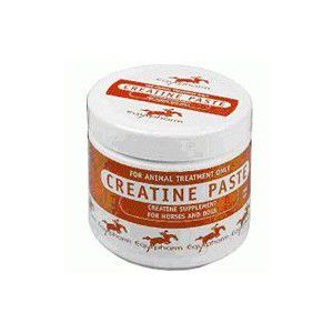 Creatine Paste 250ml