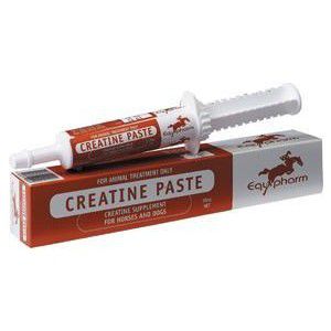 Creatine Paste 30ml