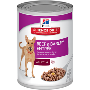 Hills Science Diet Canine Adult Beef & Barley Entree 370g x 12