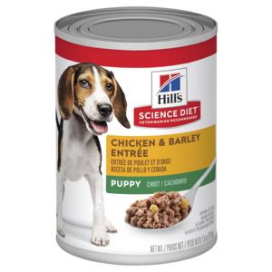 Hills Science Diet Puppy Chicken & Barley Entrée Canned Dog Food 370g x 12