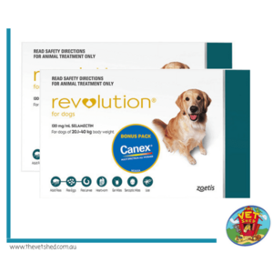 Revolution 12 pack for dogs 20- 40kg Teal 