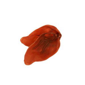 Veggie Ears Bulk pack of 75