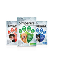Simparica  - Flea, tick, mange and mite control for dogs.  Why it is so good. 
