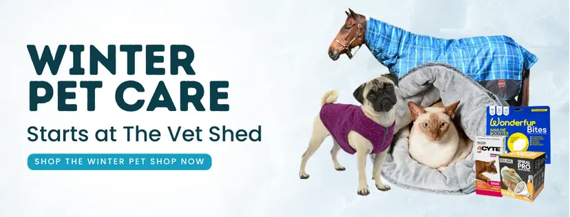 Winter Starts At The Vet Shed