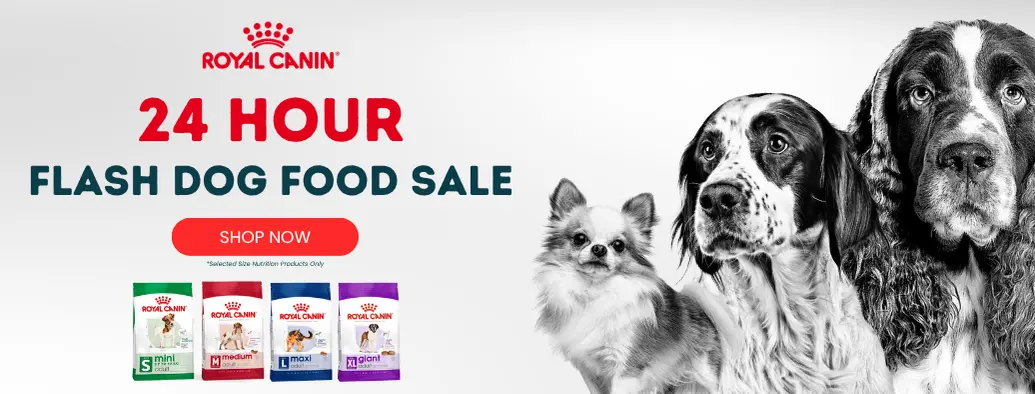 24 HOUR Royal Canin Dog Food Sale On Now!