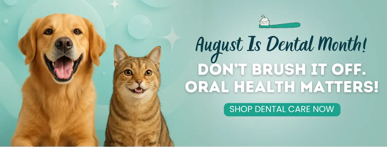 August Is Dental Month - Shop Dental Care Now