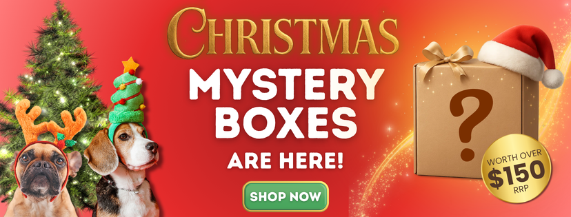 Christmas Mystery Box 2025