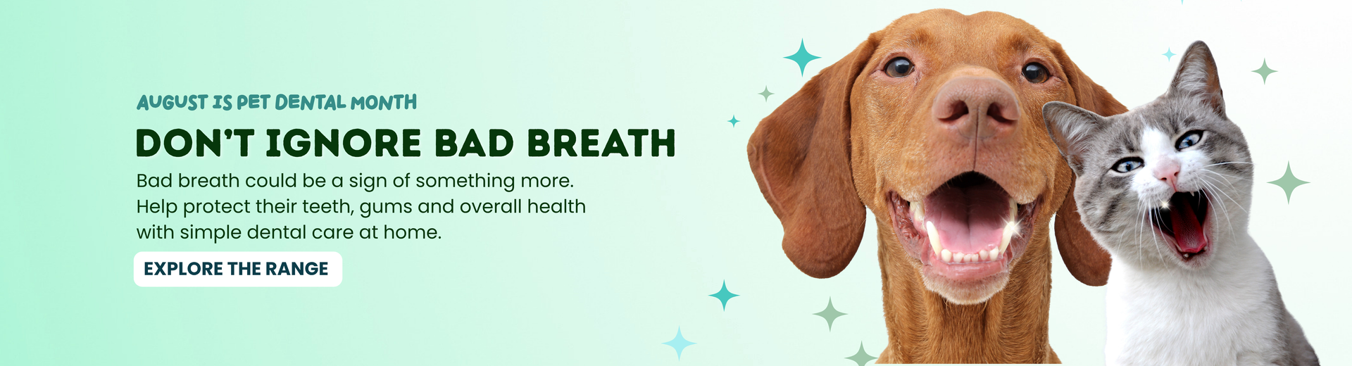 August Is Dental Month - Shop Dental Care Now