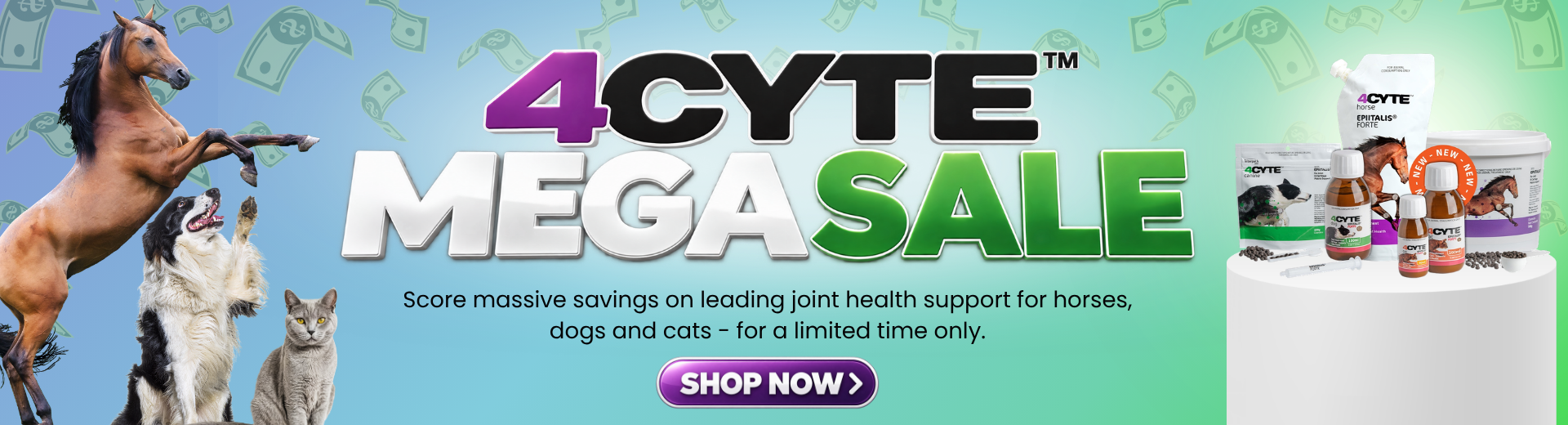 4CYTE MEGA SALE