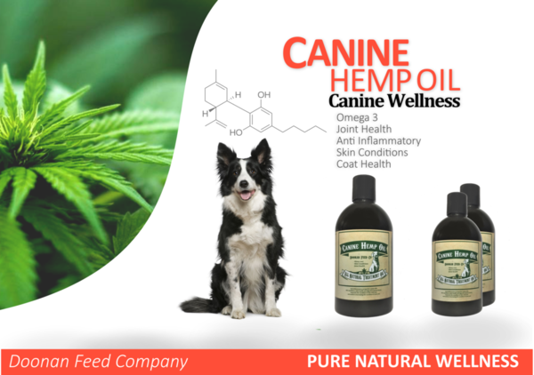 CBD OIL SYRINGE